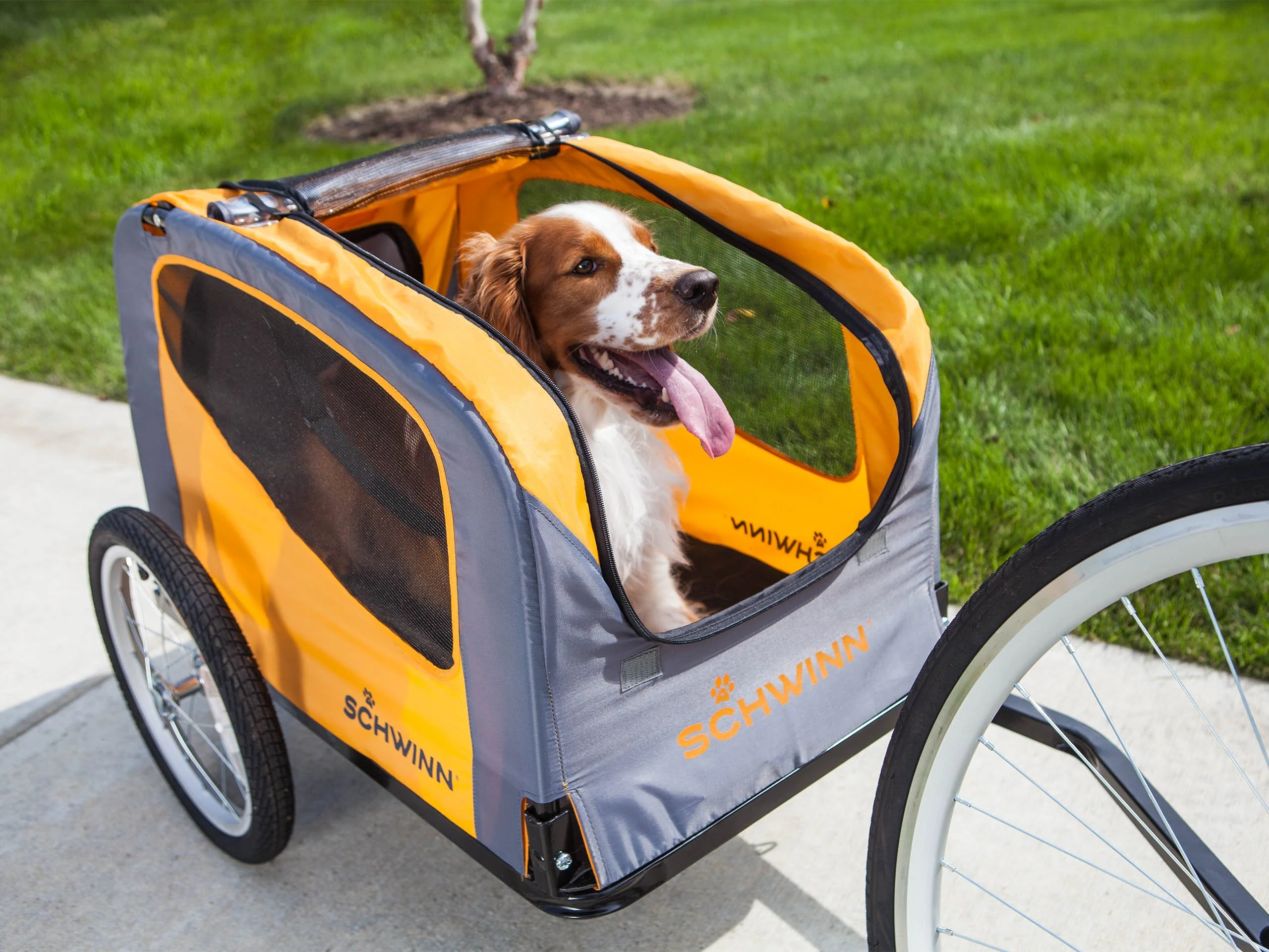 Rascal Pet Bike Trailer - Image 3