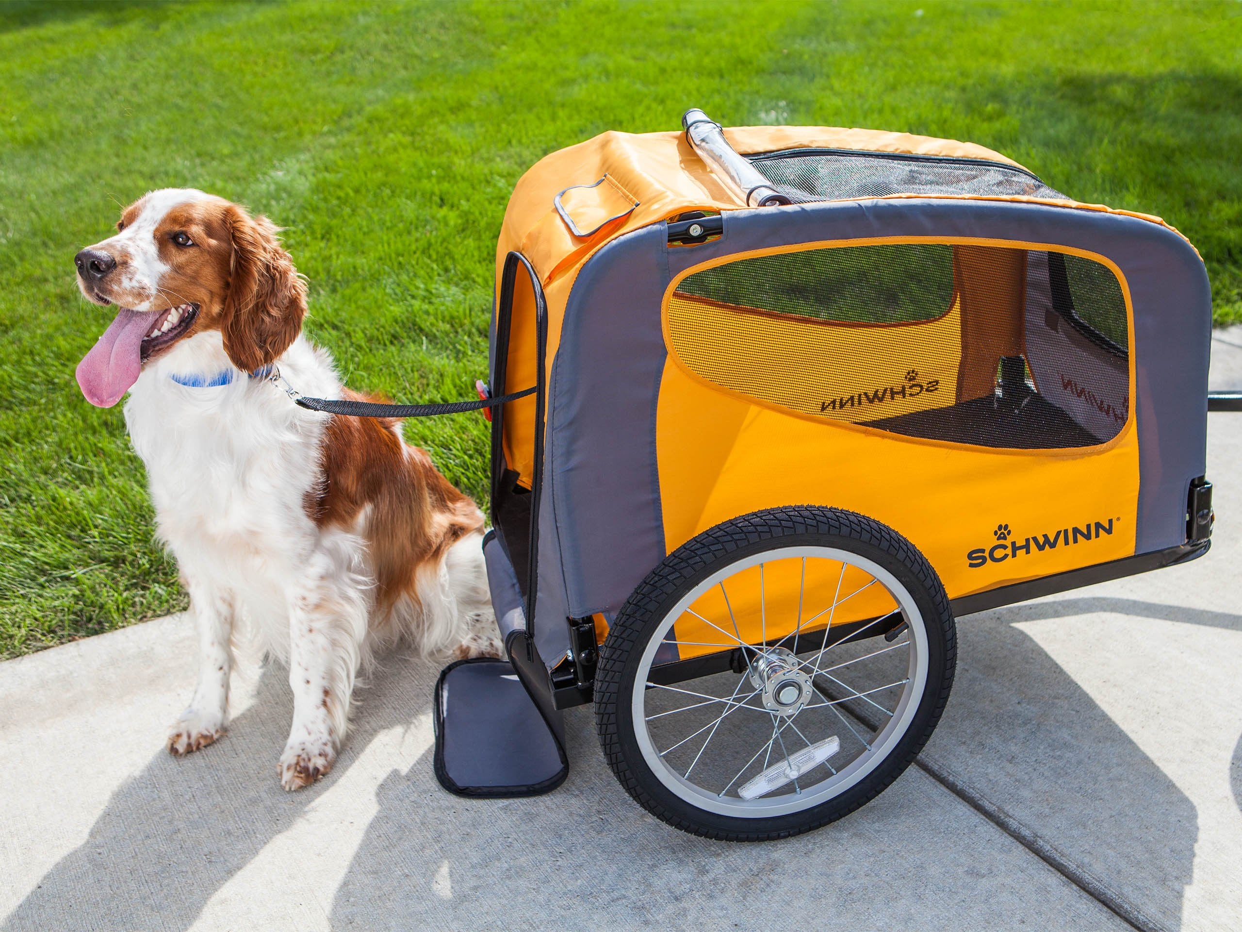 Rascal Pet Bike Trailer - Image 6