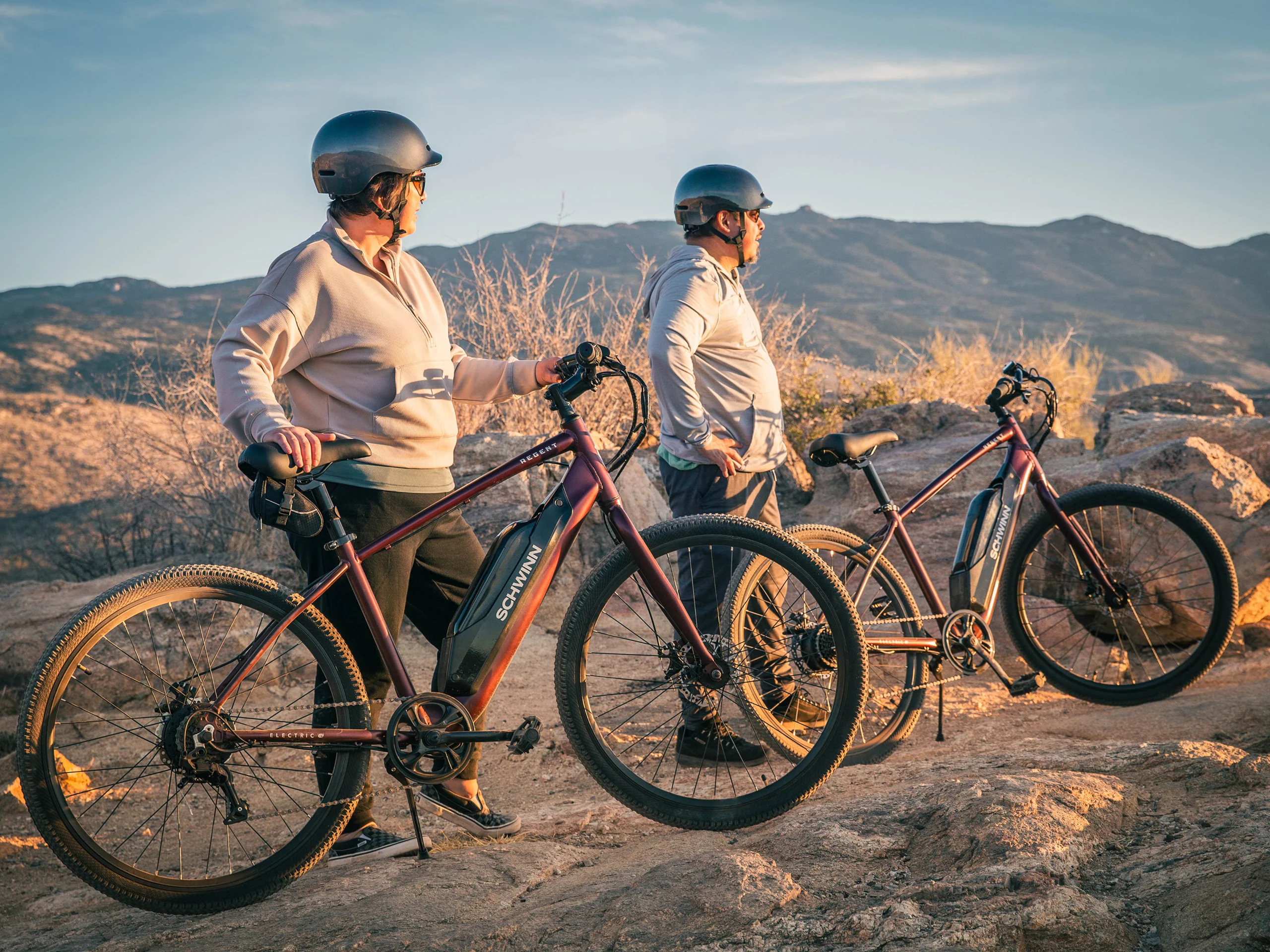 Regent Electric Bike - Image 6